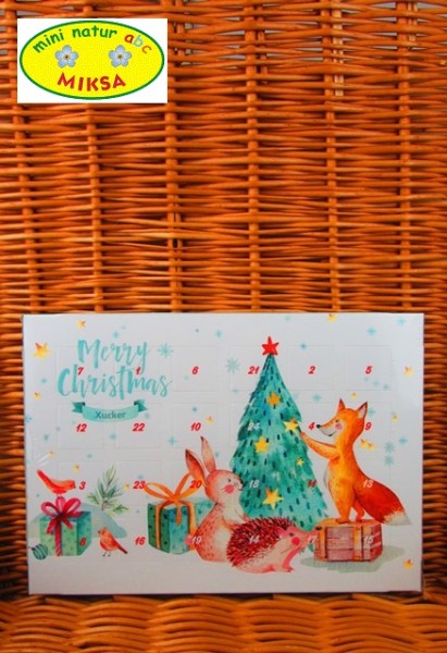 Adventskalender mit Vollmilchschokolade und Xylitol